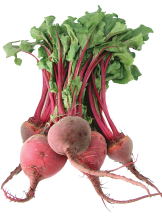 Organic product image.